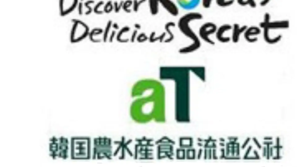 K-FOOD广告效果研究