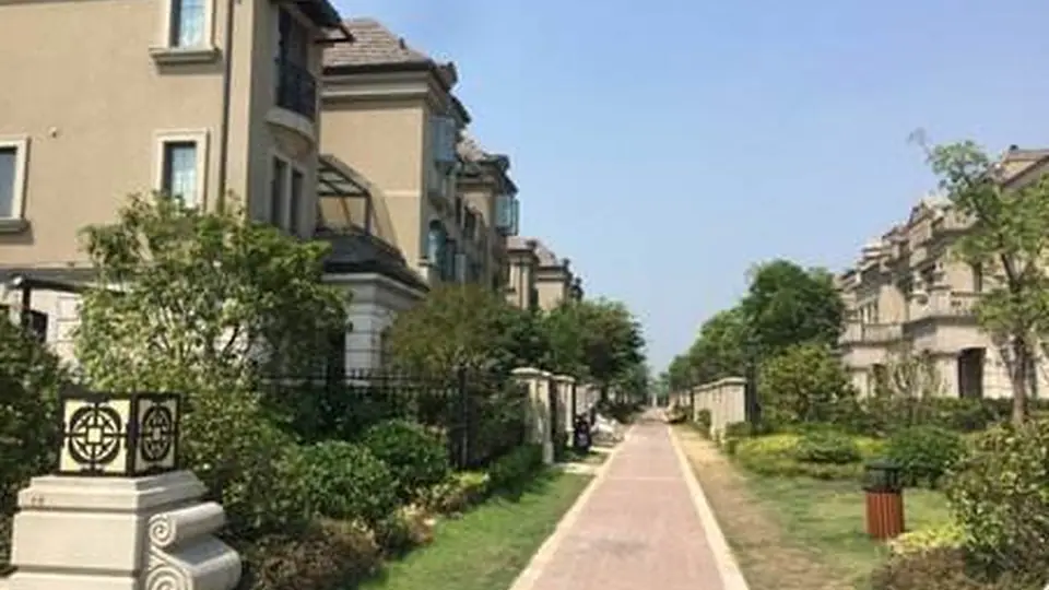 汤逊湖业主民意调查