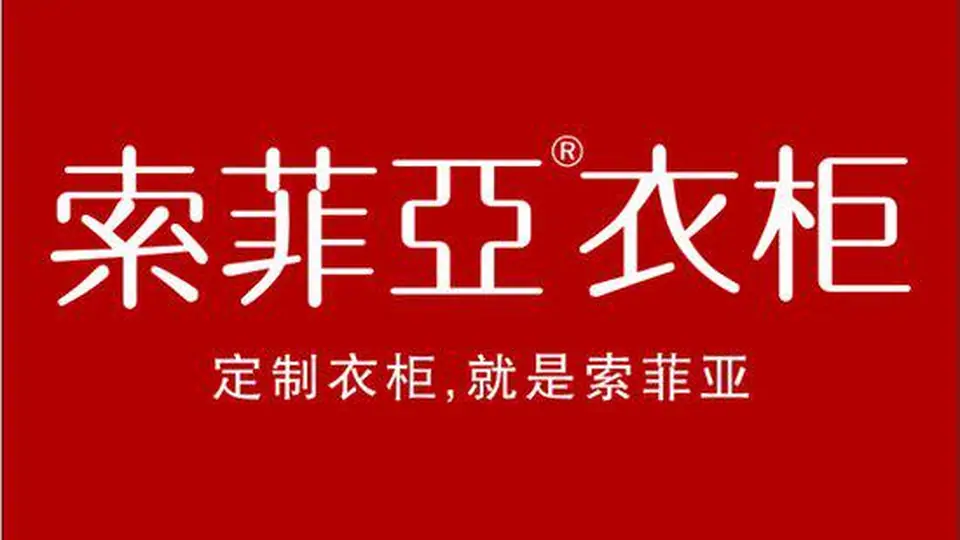 定制衣柜消费者满意度研究