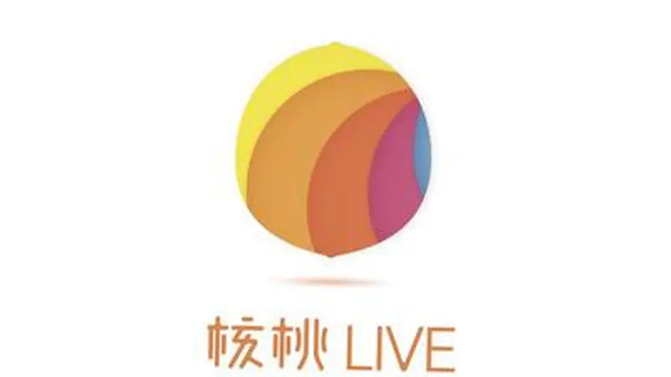 用户需求及满意度研究