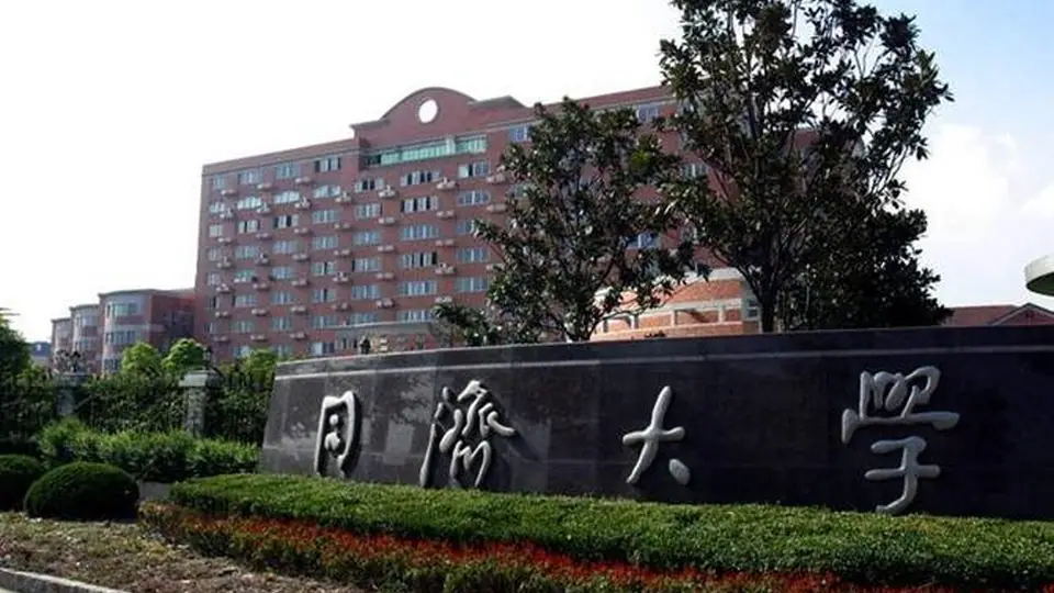 迪士尼对沪影响力研究